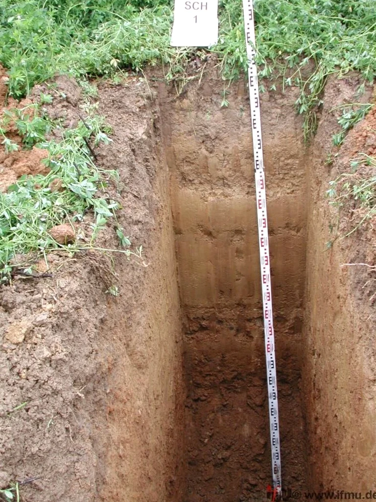 Exploratory Test Pit Services in Chilliwack — Direct Subsurface Verification
